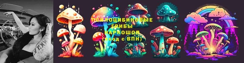 Псилоцибиновые грибы Psilocybine cubensis  где найти наркотики  Далматово 